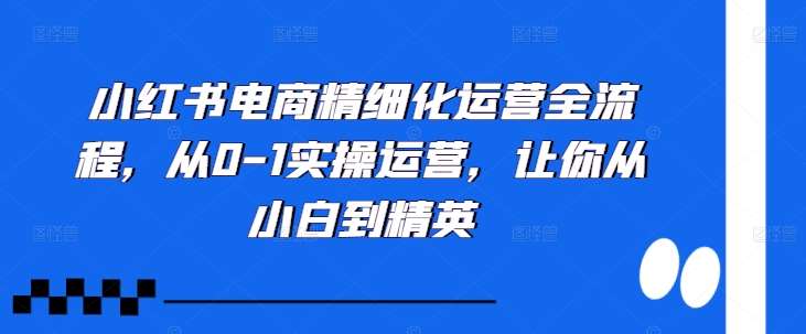 小红书电商精细化运营全流程，从0-1实操运营，让你从小白到精英-哔搭谋事网-原创客谋事网