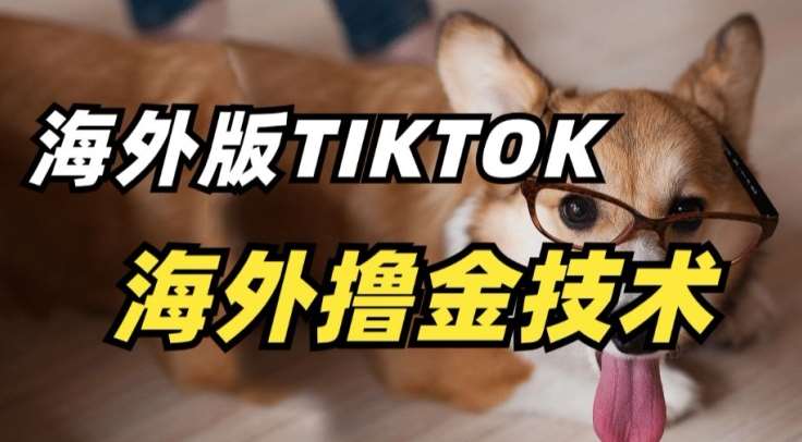 抖音海外版tiktok撸金技术，这个风口行业，赚钱真的不难【揭秘】-哔搭谋事网-原创客谋事网