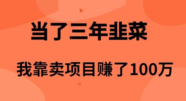 （10149期）当了3年韭菜，我靠卖项目赚了100万-哔搭谋事网-原创客谋事网