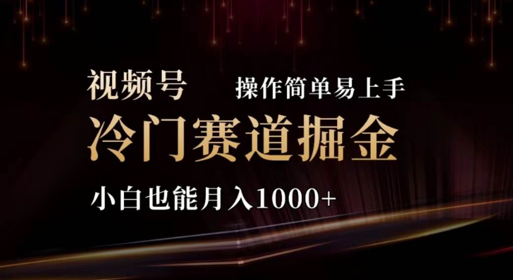 （11378期）2024视频号冷门赛道掘金，操作简单轻松上手，小白也能月入1000+-哔搭谋事网-原创客谋事网