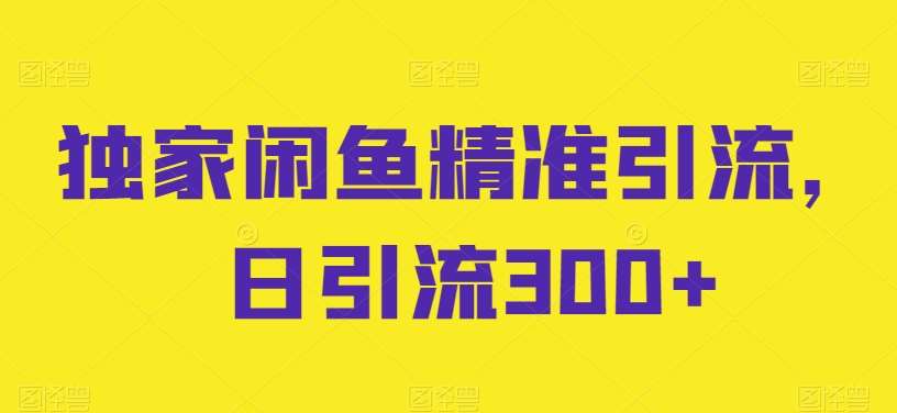 独家闲鱼精准引流，日引流300+【揭秘】-哔搭谋事网-原创客谋事网