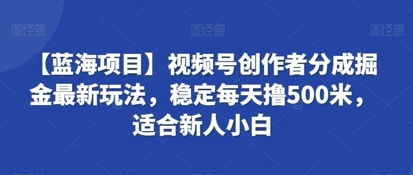 【蓝海项目】视频号创作者分成掘金最新玩法，稳定每天撸500米，适合新人小白【揭秘】-哔搭谋事网-原创客谋事网