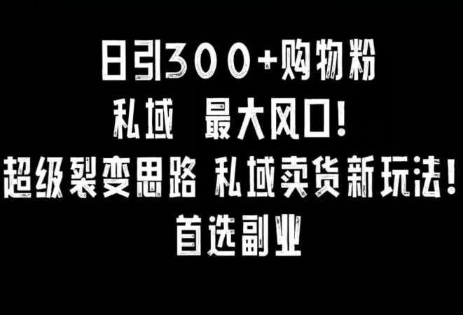 日引300+购物粉，超级裂变思路，私域卖货新玩法，小红书首选副业【揭秘】-哔搭谋事网-原创客谋事网