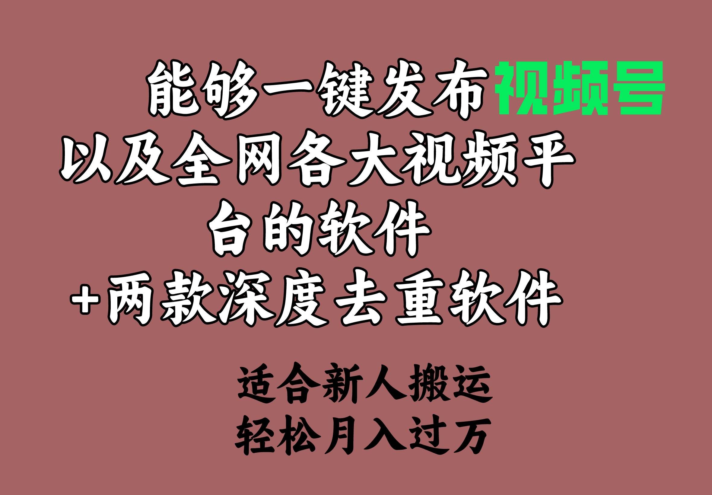 （9319期）能够一键发布视频号以及全网各大视频平台的软件+两款深度去重软件 适合…-哔搭谋事网-原创客谋事网