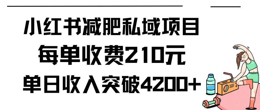 （9466期）小红书减肥私域项目每单收费210元单日成交20单，最高日入4200+-哔搭谋事网-原创客谋事网