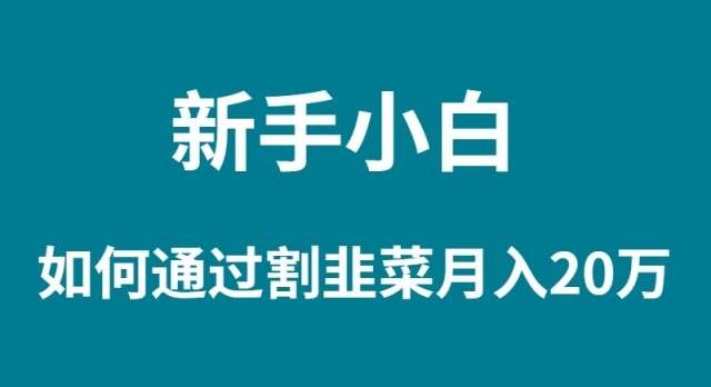 （9308期）新手小白如何通过割韭菜月入 20W-哔搭谋事网-原创客谋事网