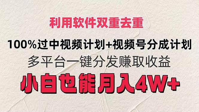 （11862期）利用软件双重去重，100%过中视频+视频号分成计划小白也可以月入4W+-哔搭谋事网-原创客谋事网