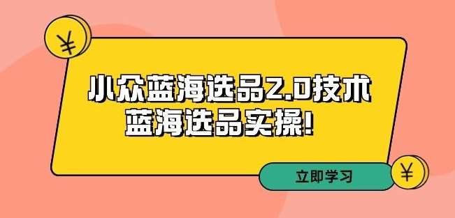 拼多多培训第33期：小众蓝海选品2.0技术-蓝海选品实操！-哔搭谋事网-原创客谋事网