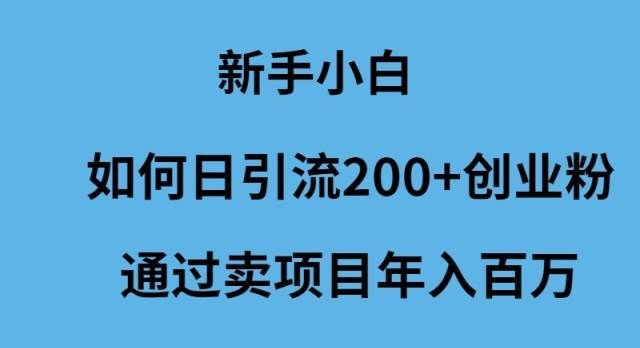 （9668期）新手小白如何日引流200+创业粉通过卖项目年入百万-哔搭谋事网-原创客谋事网