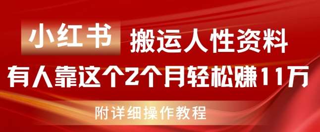 小红书搬运人性资料，有人靠这个2个月轻松赚11w，附教程【揭秘】-哔搭谋事网-原创客谋事网