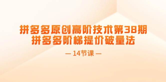 （11704期）拼多多原创高阶技术第38期，拼多多阶梯提价破量法（14节课）-哔搭谋事网-原创客谋事网