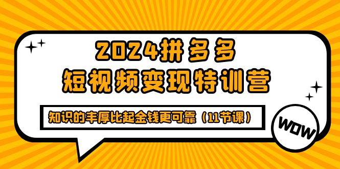 （9817期）2024拼多多短视频变现特训营，知识的丰厚比起金钱更可靠（11节课）-哔搭谋事网-原创客谋事网