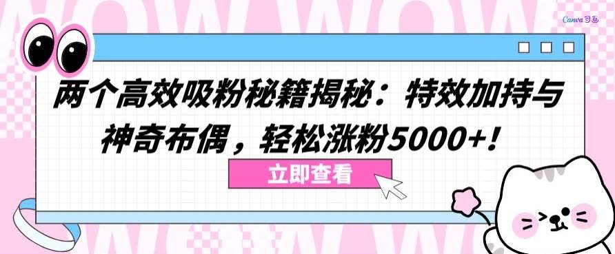 两个高效吸粉秘籍揭秘：特效加持与神奇布偶，轻松涨粉5000+【揭秘】-哔搭谋事网-原创客谋事网