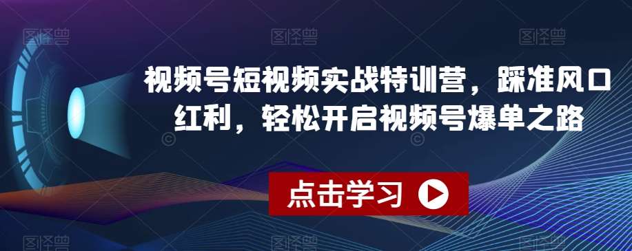 视频号短视频实战特训营，踩准风口红利，轻松开启视频号爆单之路-哔搭谋事网-原创客谋事网