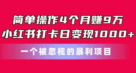 简单操作4个月赚9w，小红书打卡日变现1k，一个被忽视的暴力项目【揭秘】-哔搭谋事网-原创客谋事网