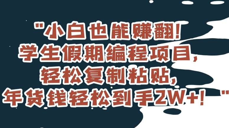 小白也能赚翻！学生假期编程项目，轻松复制粘贴，年货钱轻松到手2W+【揭秘】-哔搭谋事网-原创客谋事网