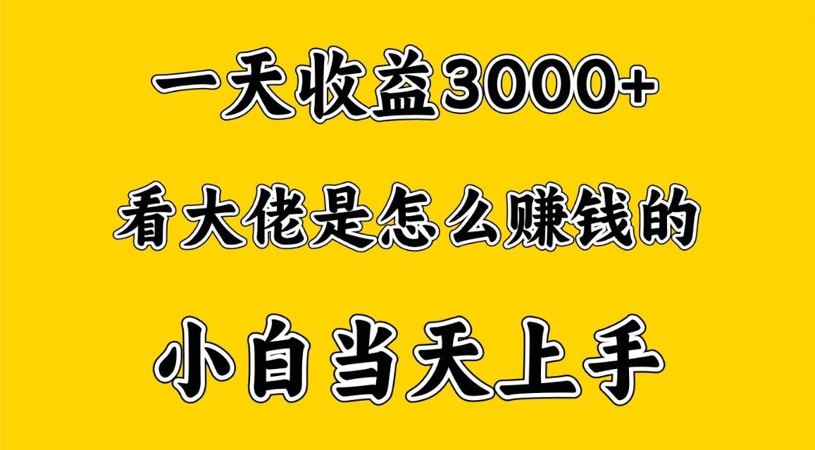 一天赚3000多，大佬是这样赚到钱的，小白当天上手，穷人翻身项目-哔搭谋事网-原创客谋事网