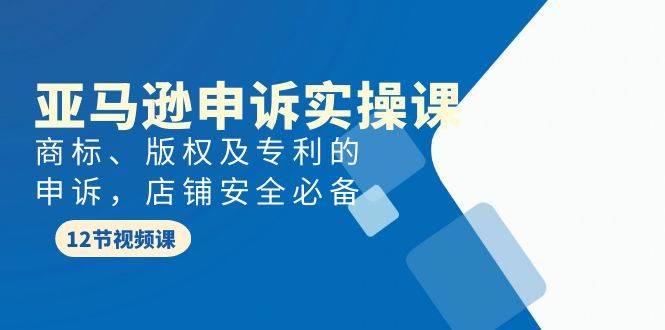 （9754期）亚马逊-申诉实战课，​商标、版权及专利的申诉，店铺安全必备-哔搭谋事网-原创客谋事网