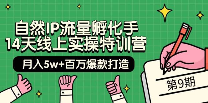 （9881期）自然IP流量孵化手 14天线上实操特训营【第9期】月入5w+百万爆款打造 (74节)-哔搭谋事网-原创客谋事网