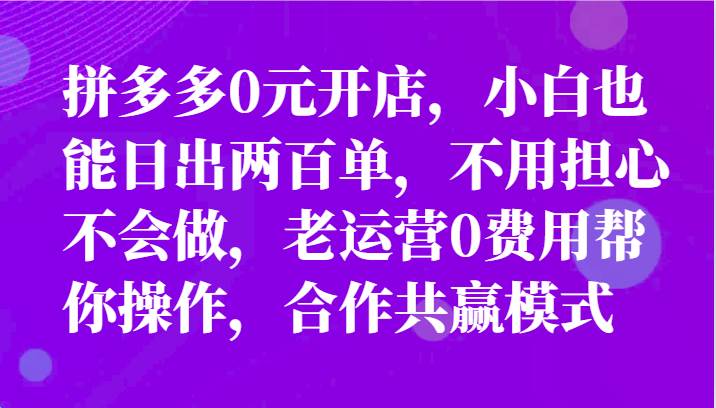 最新拼多多优质项目小白福利，两天销量过百单，不收费、老运营代操作-哔搭谋事网-原创客谋事网