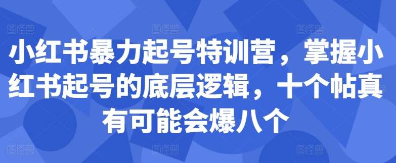 小红书暴力起号特训营，掌握小红书起号的底层逻辑，十个帖真有可能会爆八个-哔搭谋事网-原创客谋事网