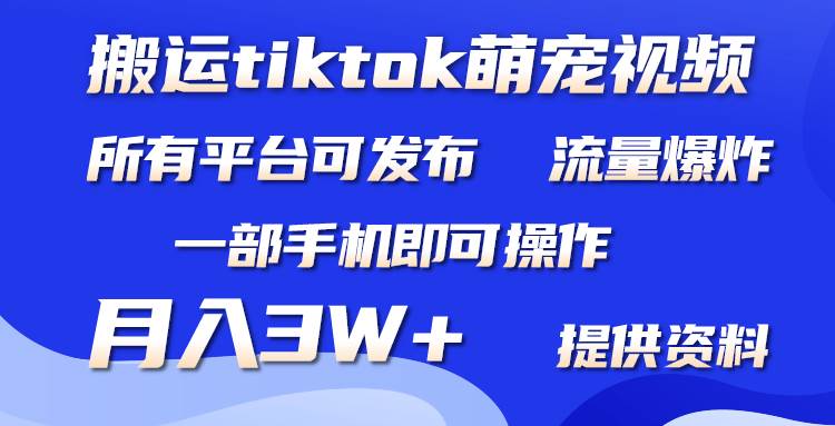 （9618期）搬运Tiktok萌宠类视频，一部手机即可。所有短视频平台均可操作，月入3W+-哔搭谋事网-原创客谋事网