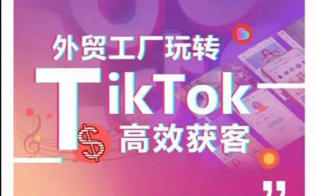 外贸工厂玩转TikTok高效获客，多种引流方式与账号定位技巧，拆解爆款短视频打造成功案例-哔搭谋事网-原创客谋事网