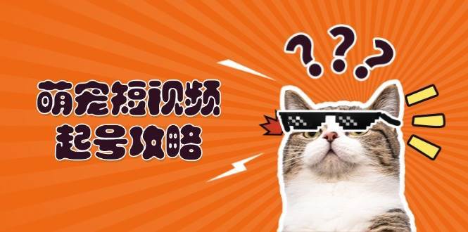 萌宠短视频起号攻略：定位搭建推流全解析，助力新手轻松打造爆款-哔搭谋事网-原创客谋事网