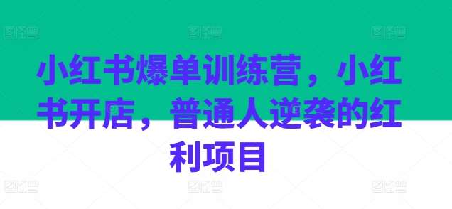 小红书爆单训练营，小红书开店，普通人逆袭的红利项目-哔搭谋事网-原创客谋事网