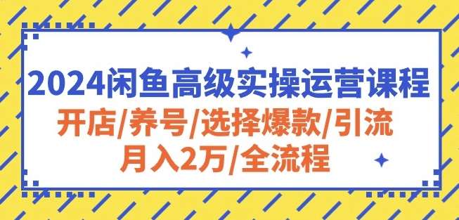 2024闲鱼高级实操运营课程：开店/养号/选择爆款/引流/月入2万/全流程-哔搭谋事网-原创客谋事网