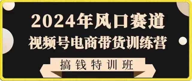 2024年风口赛道视频号电商带货训练营搞钱特训班，带领大家快速入局自媒体电商带货-哔搭谋事网-原创客谋事网