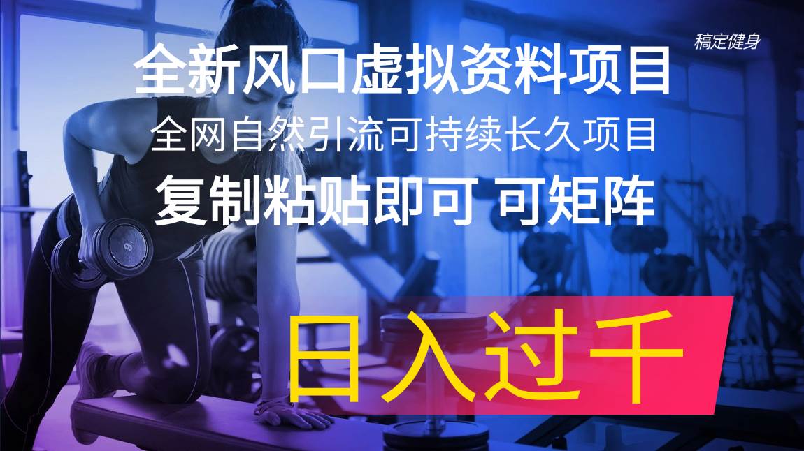 （11587期）全新风口虚拟资料项目 全网自然引流可持续长久项目 复制粘贴即可可矩阵…-哔搭谋事网-原创客谋事网