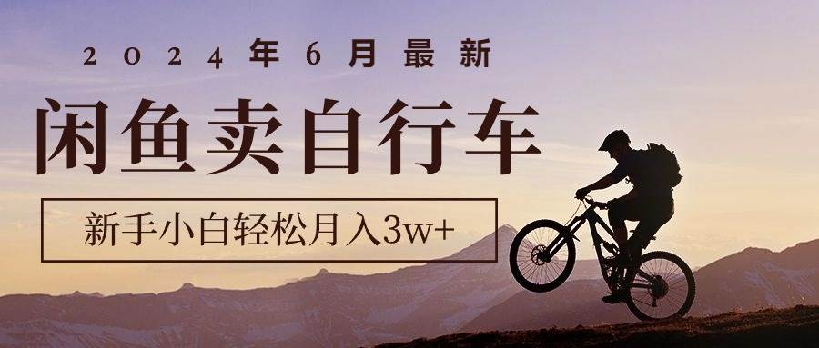 （10915期）2024年6月最新闲鱼卖自行车，新手小白轻松月入3w+项目-哔搭谋事网-原创客谋事网