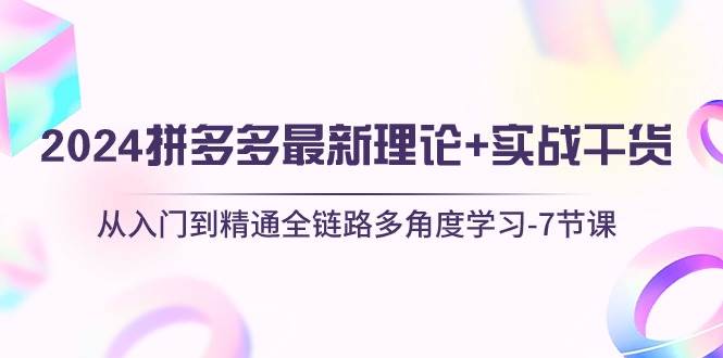 （10816期）2024拼多多 最新理论+实战干货，从入门到精通全链路多角度学习-7节课-哔搭谋事网-原创客谋事网