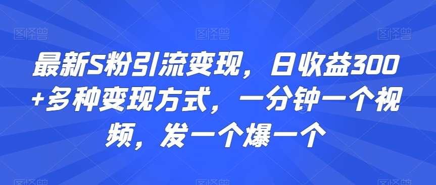 最新S粉引流变现，日收益300+多种变现方式，一分钟一个视频，发一个爆一个【揭秘】-哔搭谋事网-原创客谋事网