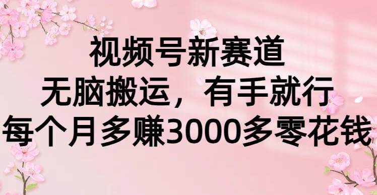 （9278期）视频号新赛道，无脑搬运，有手就行，每个月多赚3000多零花钱-哔搭谋事网-原创客谋事网