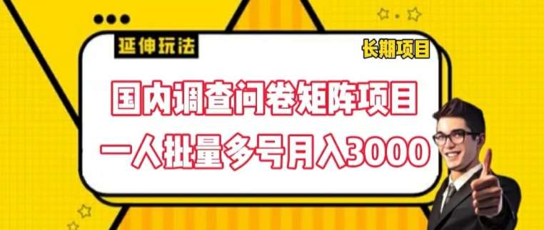 国内调查问卷矩阵项目，一人批量多号月入3000【揭秘】-哔搭谋事网-原创客谋事网