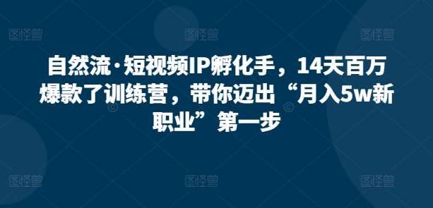 自然流·短视频IP孵化手，14天百万爆款了训练营，带你迈出“月入5w新职业”第一步-哔搭谋事网-原创客谋事网