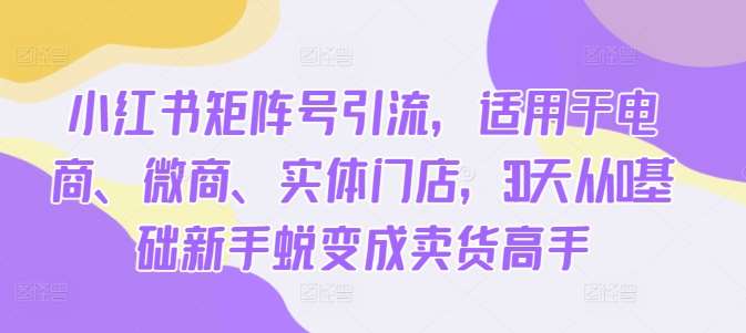 小红书矩阵号引流，适用于电商、微商、实体门店，30天从0基础新手蜕变成卖货高手-哔搭谋事网-原创客谋事网