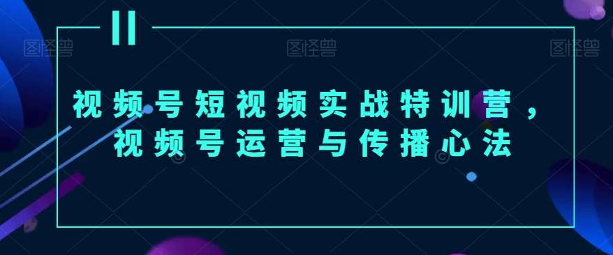 视频号短视频实战特训营，视频号运营与传播心法-哔搭谋事网-原创客谋事网