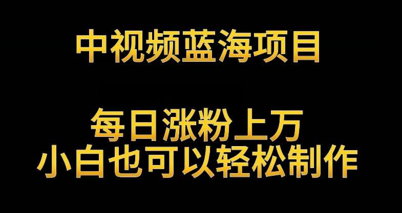 中视频蓝海项目，解读英雄人物生平，每日涨粉上万，小白也可以轻松制作，月入过万不是梦【揭秘】-哔搭谋事网-原创客谋事网