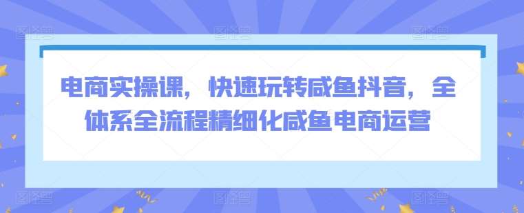 电商实操课，快速玩转咸鱼抖音，全体系全流程精细化咸鱼电商运营-哔搭谋事网-原创客谋事网