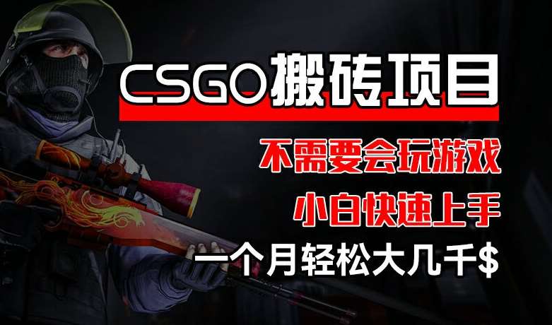 CSGO 装备搬砖项目，操作简单，不需要会玩游戏，小白也能快速上手，一个月轻松大几千【揭秘】-哔搭谋事网-原创客谋事网