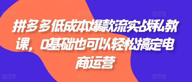 拼多多低成本爆款流实战私教课，0基础也可以轻松搞定电商运营-哔搭谋事网-原创客谋事网