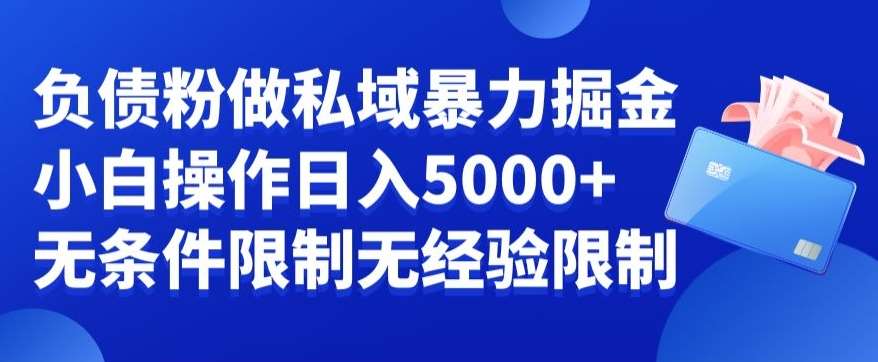 负债粉私域暴力掘金，小白操作入5000，无经验限制，无条件限制【揭秘】-哔搭谋事网-原创客谋事网