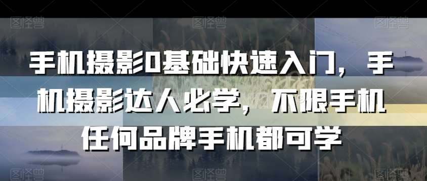 手机摄影0基础快速入门，手机摄影达人必学，不限手机任何品牌手机都可学-哔搭谋事网-原创客谋事网