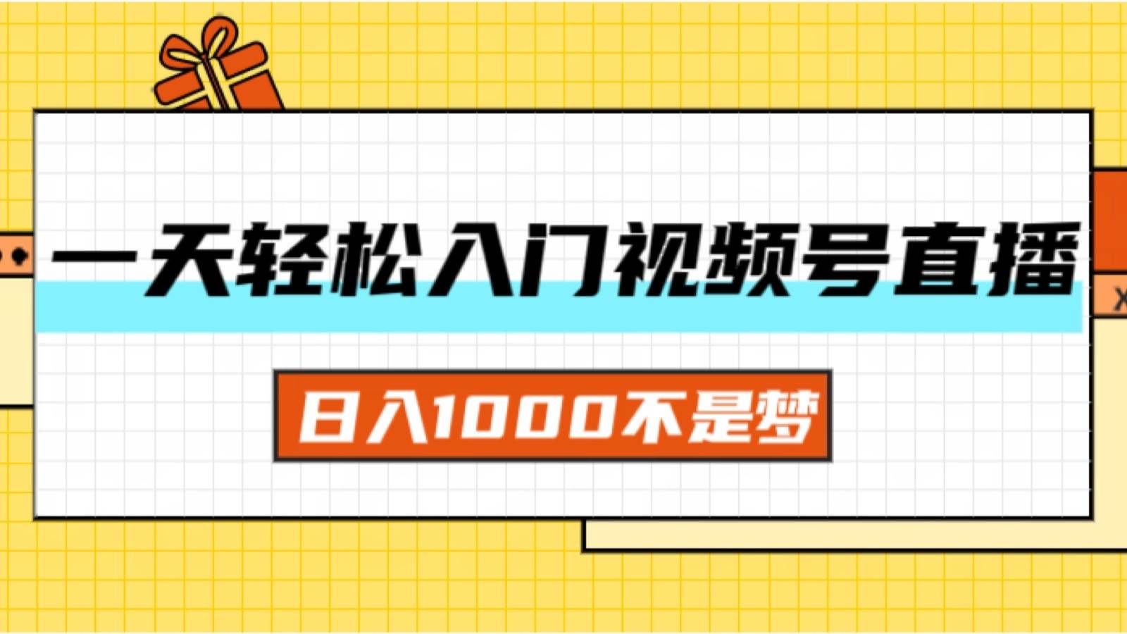 （11906期）一天入门视频号直播带货，日入1000不是梦-哔搭谋事网-原创客谋事网