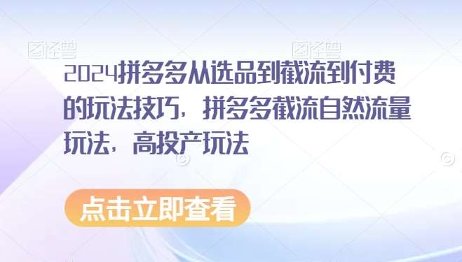 2024拼多多从选品到截流到付费的玩法技巧，拼多多截流自然流量玩法，高投产玩法-哔搭谋事网-原创客谋事网