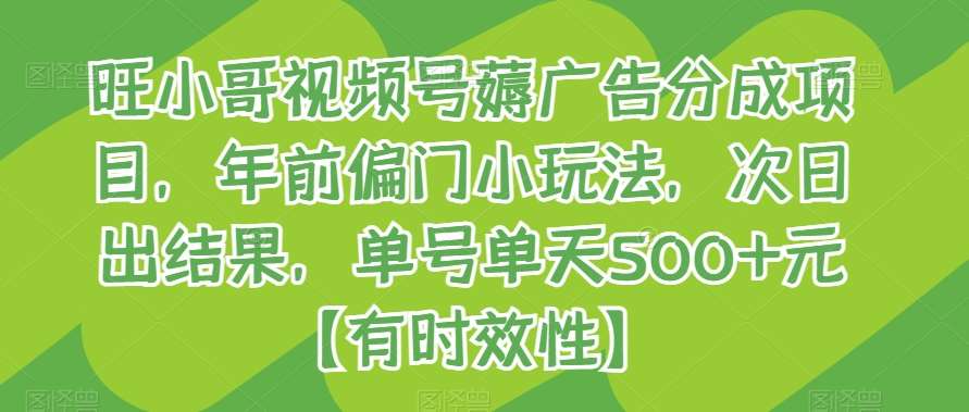 旺小哥视频号薅广告分成项目，年前偏门小玩法，次日出结果，单号单天500+元【有时效性】-哔搭谋事网-原创客谋事网