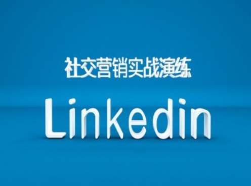 社交营销实战演练之Linkedin营销课程，B2B跨境外贸的新出路-哔搭谋事网-原创客谋事网